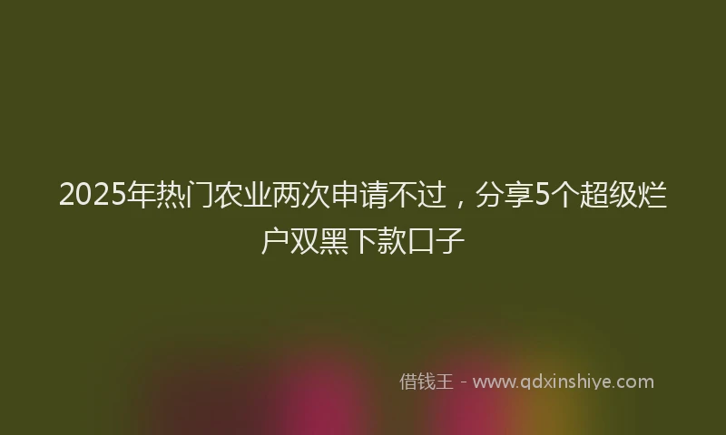 2025年热门农业两次申请不过，分享5个超级烂户双黑下款口子