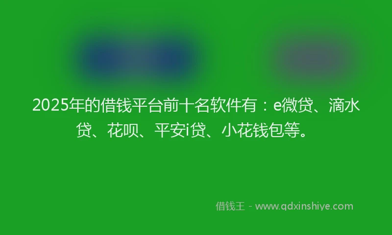 2025年的借钱平台前十名软件有：e微贷、滴水贷、花呗、平安i贷、小花钱包等。