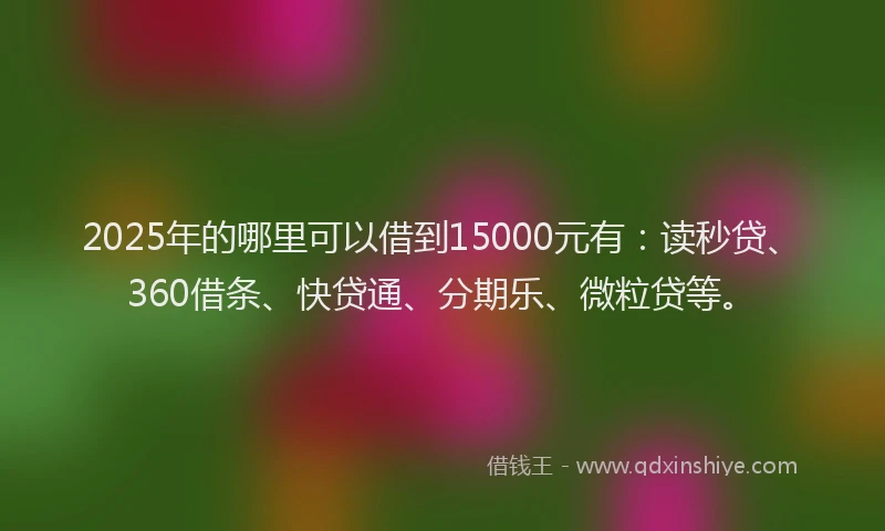 2025年的哪里可以借到15000元有：读秒贷、360借条、快贷通、分期乐、微粒贷等。