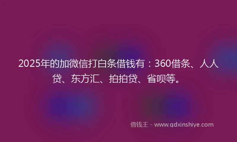 2025年的加微信打白条借钱有：360借条、人人贷、东方汇、拍拍贷、省呗等。