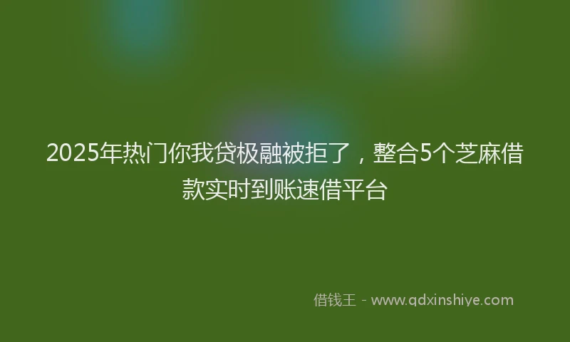 2025年热门你我贷极融被拒了，整合5个芝麻借款实时到账速借平台