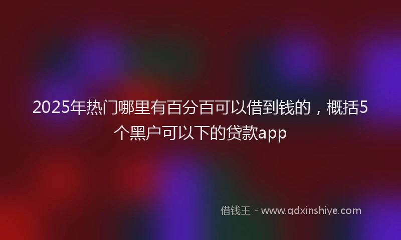 2025年热门哪里有百分百可以借到钱的，概括5个黑户可以下的贷款app