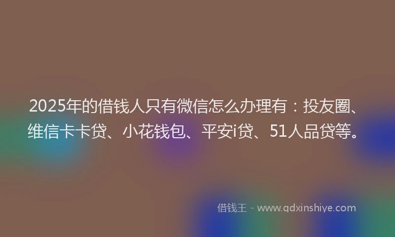 2025年的借钱人只有微信怎么办理有：投友圈、维信卡卡贷、小花钱包、平安i贷、51人品贷等。
