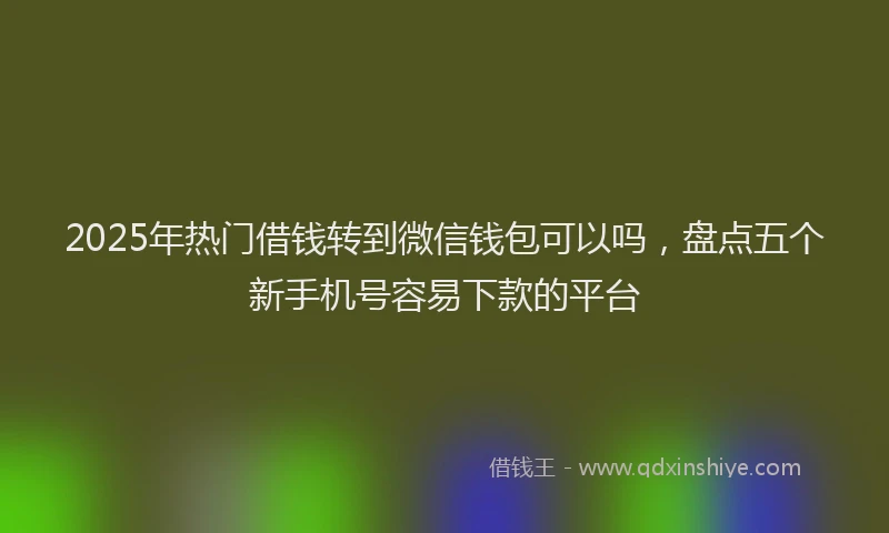 2025年热门借钱转到微信钱包可以吗，盘点五个新手机号容易下款的平台