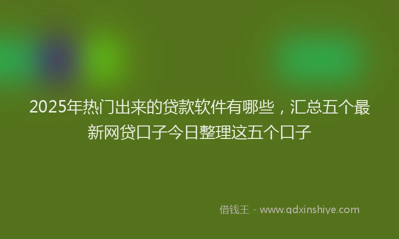 2025年热门出来的贷款软件有哪些，汇总五个最新网贷口子今日整理这五个口子