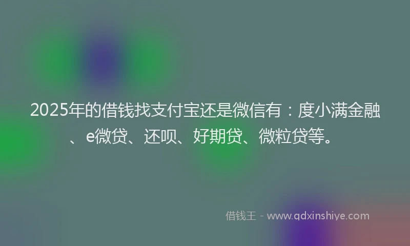 2025年的借钱找支付宝还是微信有：度小满金融、e微贷、还呗、好期贷、微粒贷等。