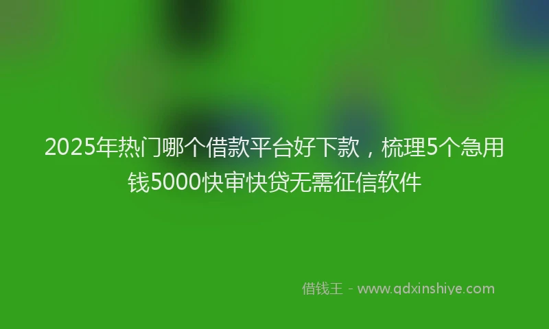 2025年热门哪个借款平台好下款，梳理5个急用钱5000快审快贷无需征信软件