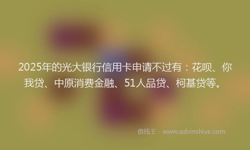 2025年的光大银行信用卡申请不过有：花呗、你我贷、中原消费金融、51人品贷、柯基贷等。