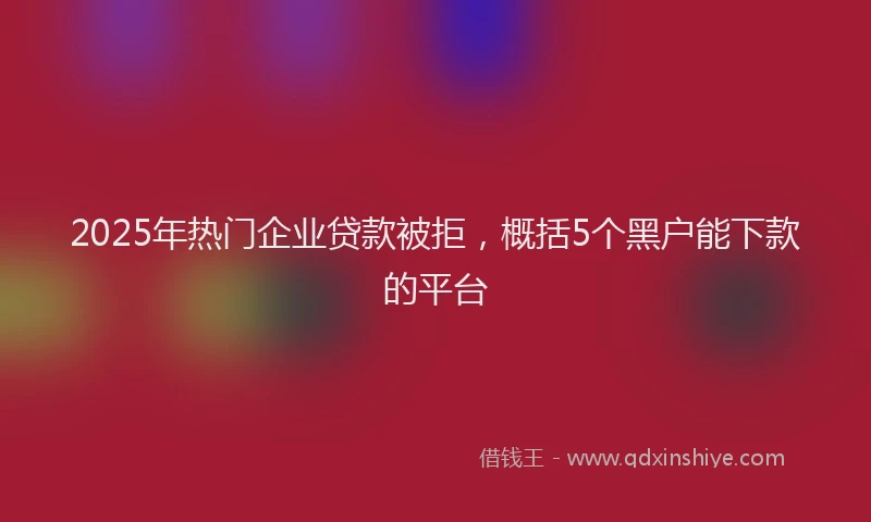 2025年热门企业贷款被拒，概括5个黑户能下款的平台