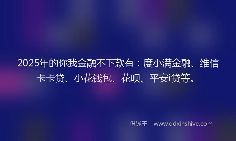 2025年的你我金融不下款有：度小满金融、维信卡卡贷、小花钱包、花呗、平安i贷等。