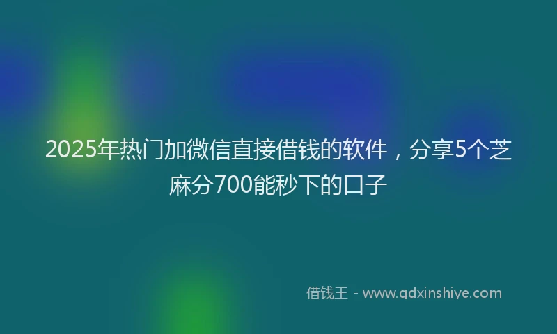 2025年热门加微信直接借钱的软件，分享5个芝麻分700能秒下的口子
