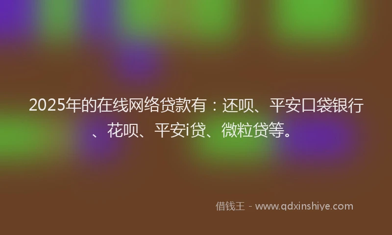 2025年的在线网络贷款有：还呗、平安口袋银行、花呗、平安i贷、微粒贷等。