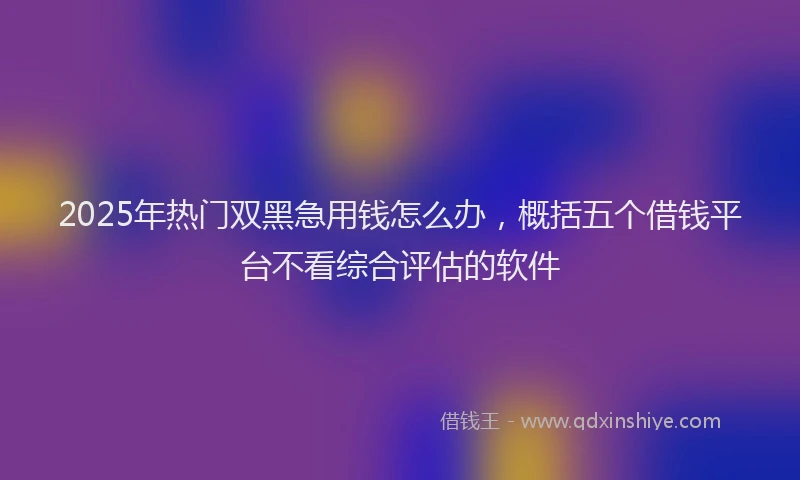 2025年热门双黑急用钱怎么办，概括五个借钱平台不看综合评估的软件