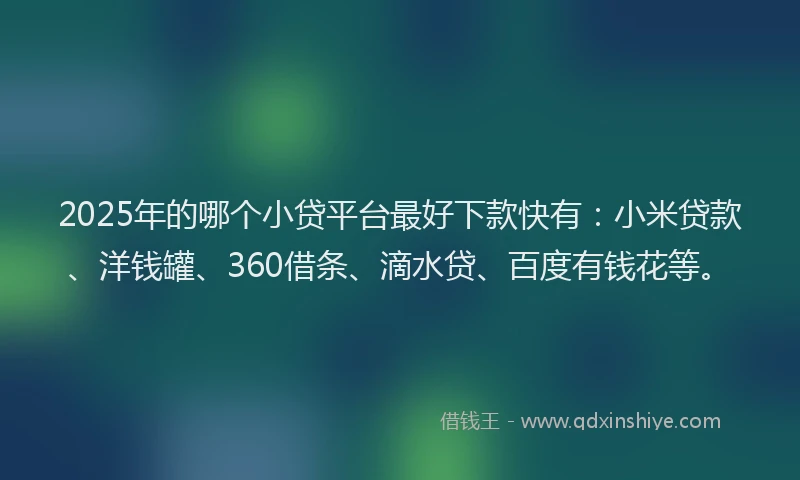 2025年的哪个小贷平台最好下款快有：小米贷款、洋钱罐、360借条、滴水贷、百度有钱花等。