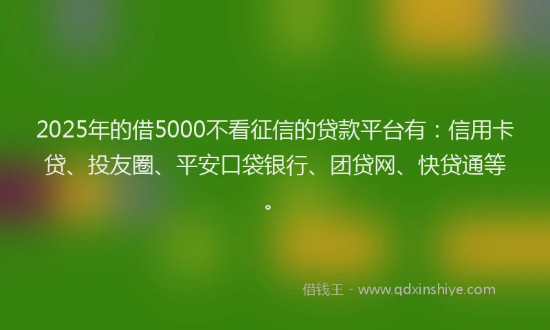 2025年的借5000不看征信的贷款平台有：信用卡贷、投友圈、平安口袋银行、团贷网、快贷通等。