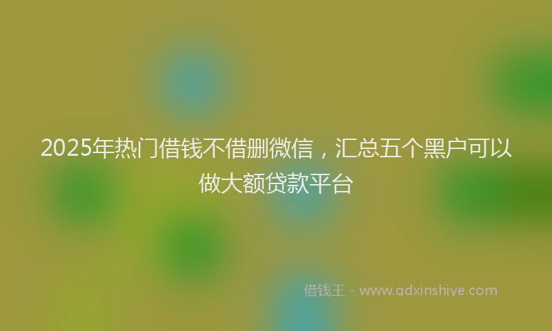 2025年热门借钱不借删微信，汇总五个黑户可以做大额贷款平台