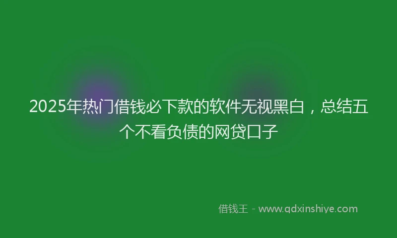 2025年热门借钱必下款的软件无视黑白，总结五个不看负债的网贷口子