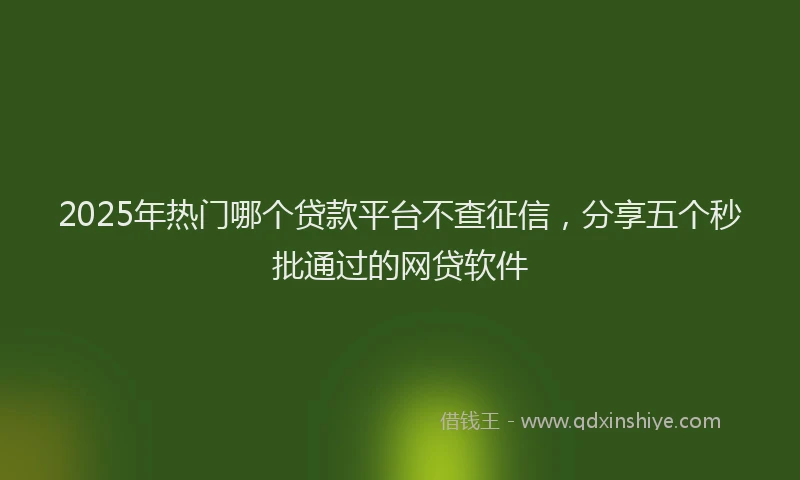 2025年热门哪个贷款平台不查征信，分享五个秒批通过的网贷软件