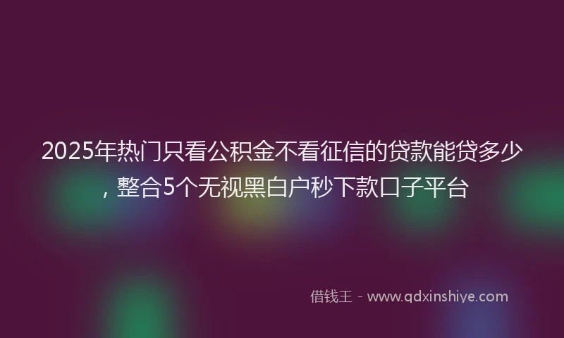 2025年热门只看公积金不看征信的贷款能贷多少，整合5个无视黑白户秒下款口子平台