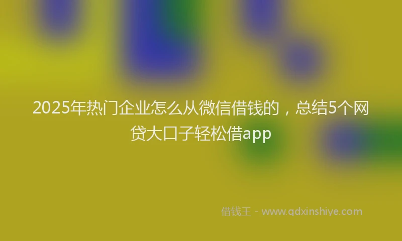 2025年热门企业怎么从微信借钱的，总结5个网贷大口子轻松借app