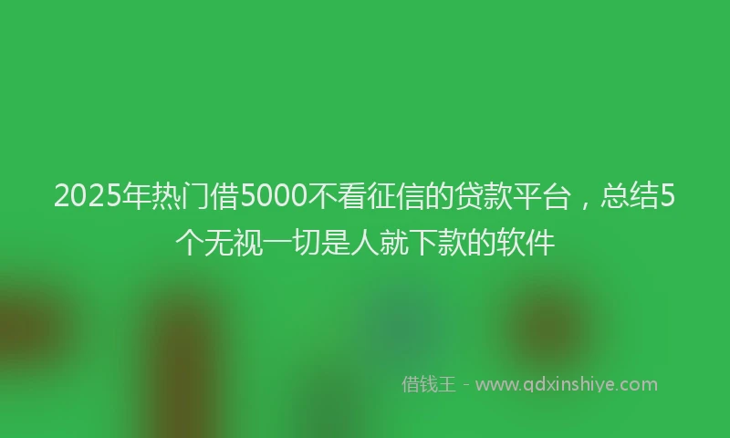 2025年热门借5000不看征信的贷款平台，总结5个无视一切是人就下款的软件