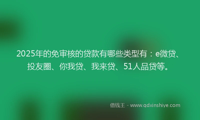 2025年的免审核的贷款有哪些类型有：e微贷、投友圈、你我贷、我来贷、51人品贷等。