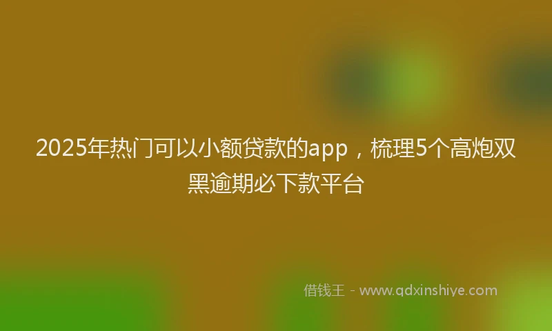 2025年热门可以小额贷款的app，梳理5个高炮双黑逾期必下款平台