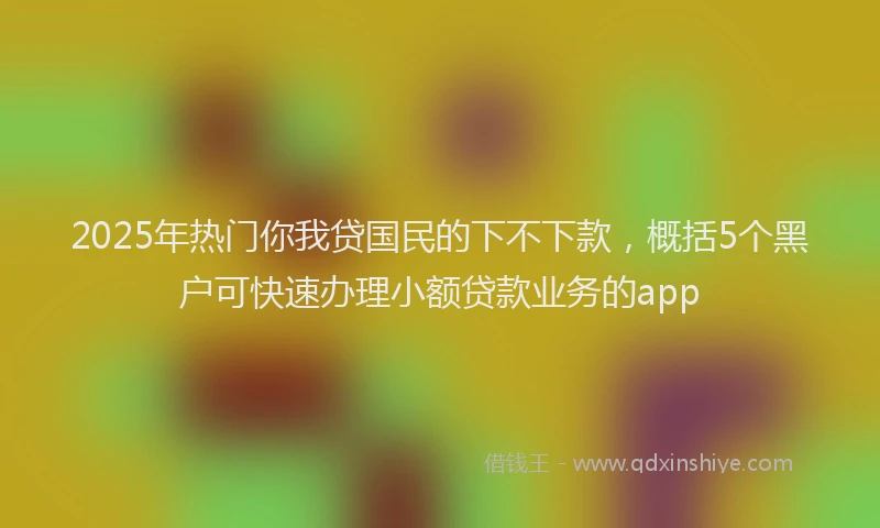 2025年热门你我贷国民的下不下款，概括5个黑户可快速办理小额贷款业务的app