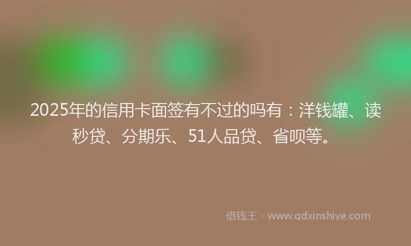 2025年的信用卡面签有不过的吗有：洋钱罐、读秒贷、分期乐、51人品贷、省呗等。