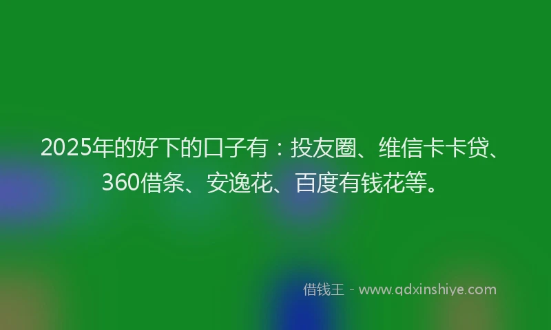 2025年的好下的口子有：投友圈、维信卡卡贷、360借条、安逸花、百度有钱花等。