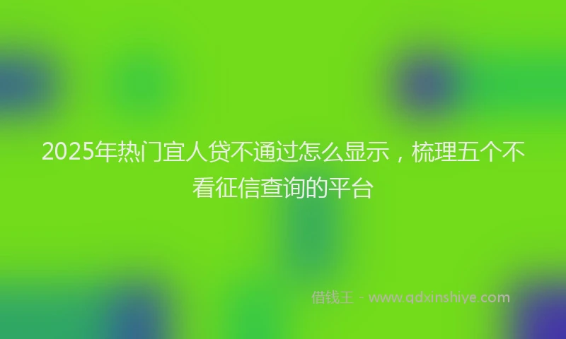 2025年热门宜人贷不通过怎么显示，梳理五个不看征信查询的平台