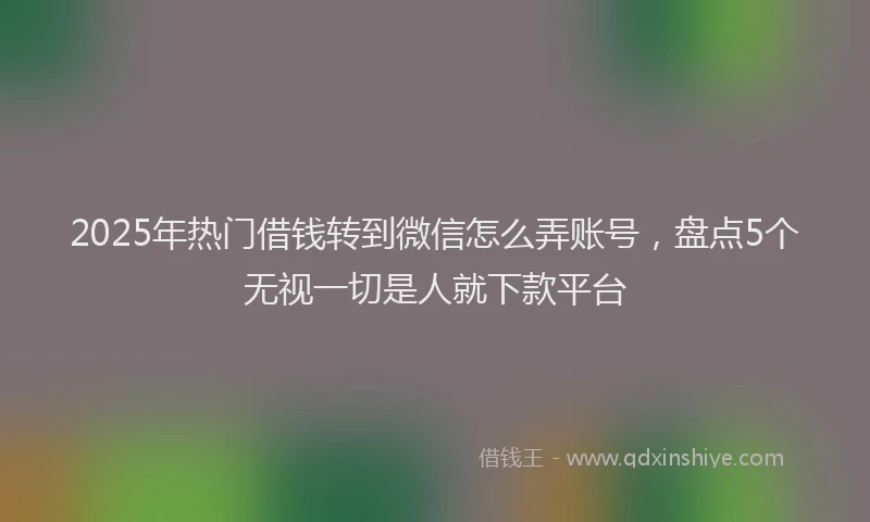 2025年热门借钱转到微信怎么弄账号，盘点5个无视一切是人就下款平台