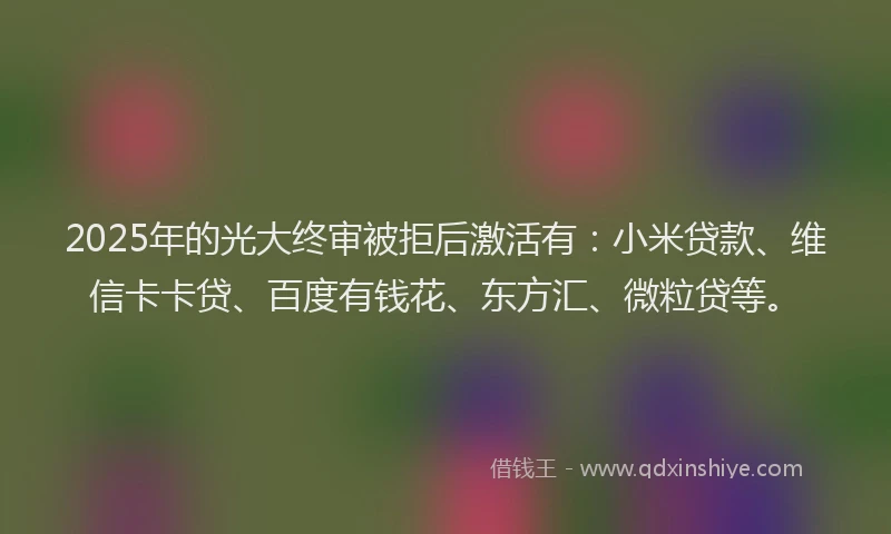 2025年的光大终审被拒后激活有：小米贷款、维信卡卡贷、百度有钱花、东方汇、微粒贷等。