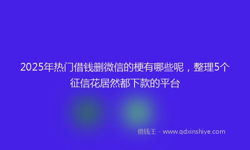 2025年热门借钱删微信的梗有哪些呢，整理5个征信花居然都下款的平台