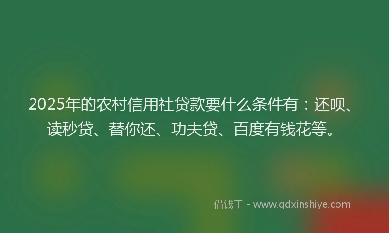 2025年的农村信用社贷款要什么条件有：还呗、读秒贷、替你还、功夫贷、百度有钱花等。