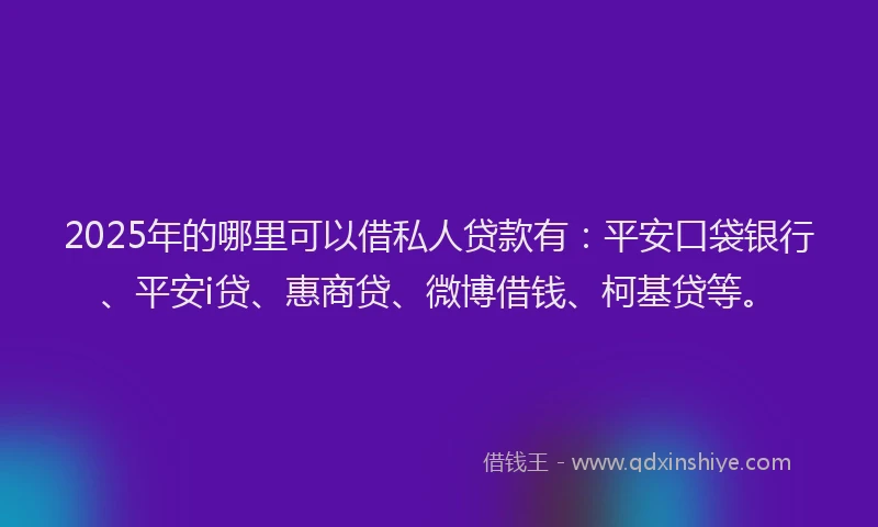 2025年的哪里可以借私人贷款有：平安口袋银行、平安i贷、惠商贷、微博借钱、柯基贷等。