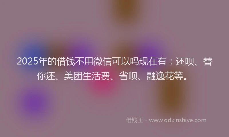 2025年的借钱不用微信可以吗现在有：还呗、替你还、美团生活费、省呗、融逸花等。