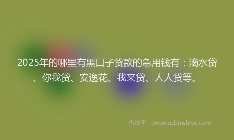 2025年的哪里有黑口子贷款的急用钱有：滴水贷、你我贷、安逸花、我来贷、人人贷等。