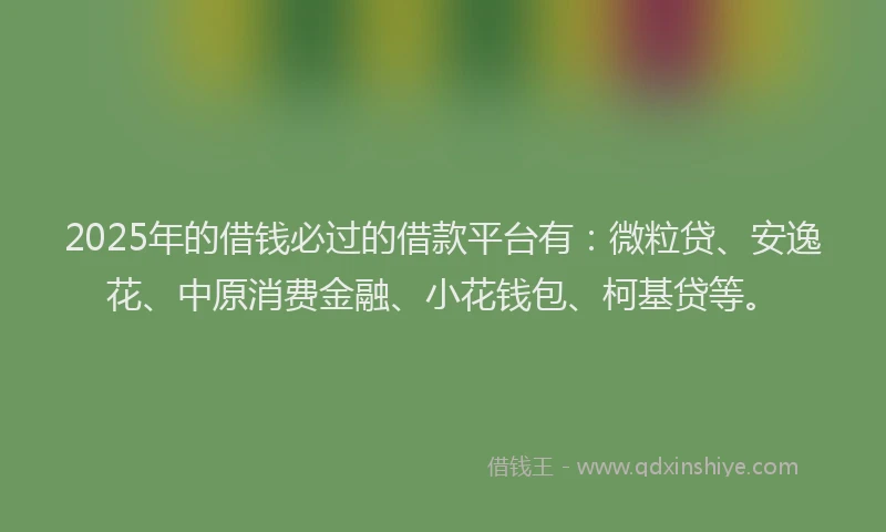 2025年的借钱必过的借款平台有：微粒贷、安逸花、中原消费金融、小花钱包、柯基贷等。