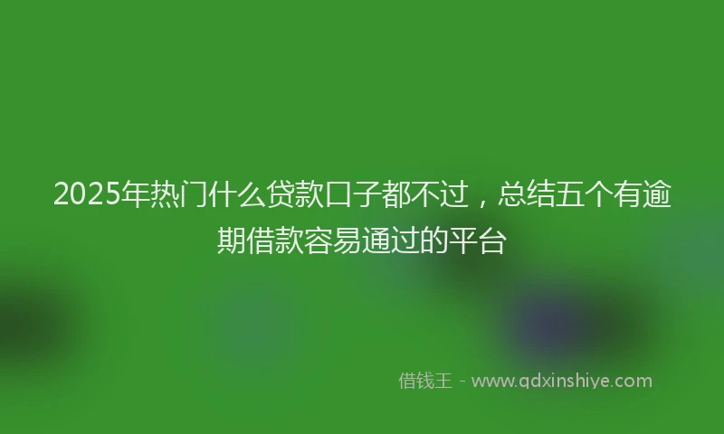 2025年热门什么贷款口子都不过，总结五个有逾期借款容易通过的平台