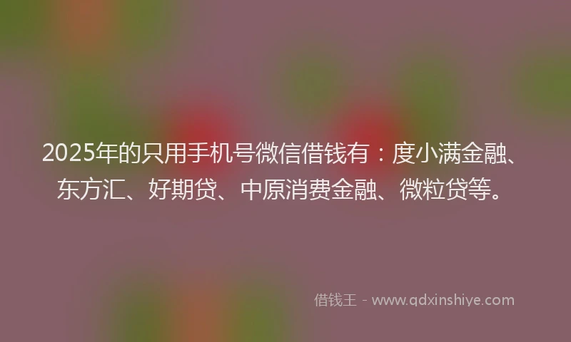 2025年的只用手机号微信借钱有：度小满金融、东方汇、好期贷、中原消费金融、微粒贷等。