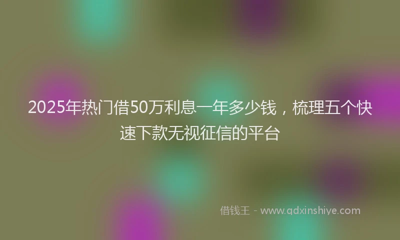 2025年热门借50万利息一年多少钱，梳理五个快速下款无视征信的平台