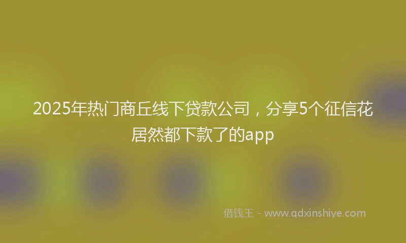 2025年热门商丘线下贷款公司，分享5个征信花居然都下款了的app