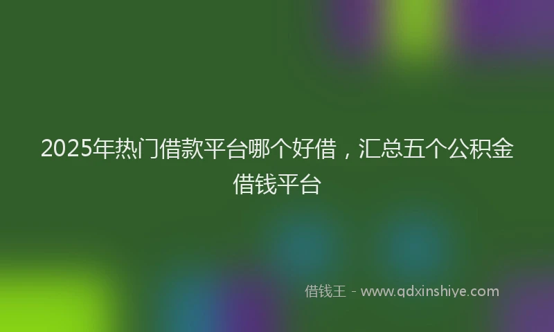 2025年热门借款平台哪个好借，汇总五个公积金借钱平台