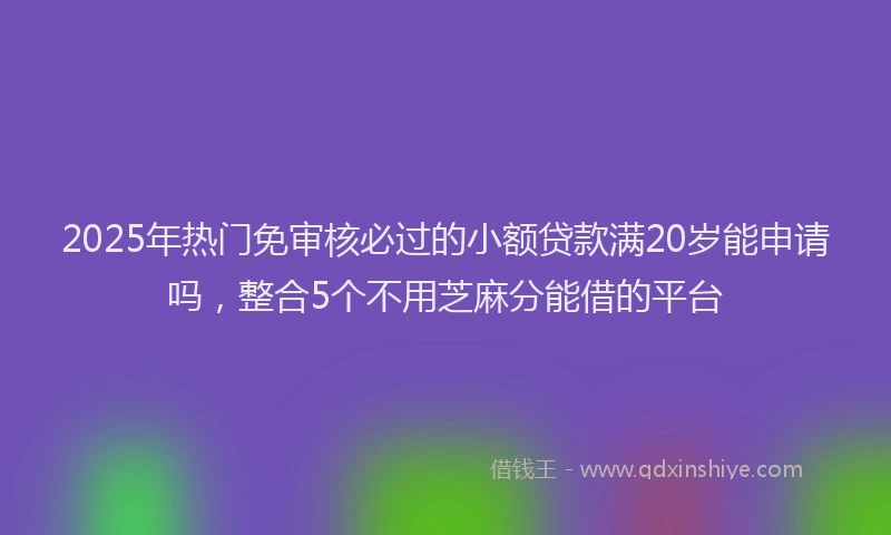 2025年热门免审核必过的小额贷款满20岁能申请吗，整合5个不用芝麻分能借的平台