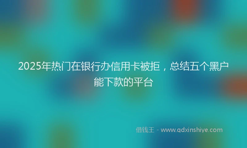 2025年热门在银行办信用卡被拒，总结五个黑户能下款的平台