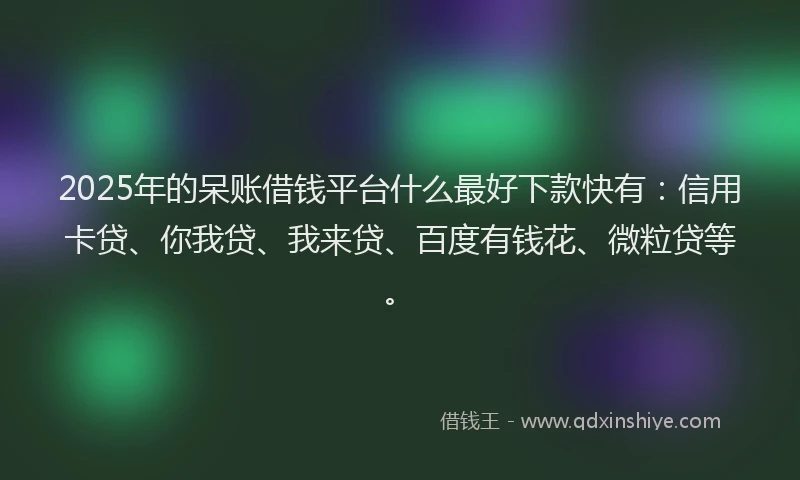 2025年的呆账借钱平台什么最好下款快有：信用卡贷、你我贷、我来贷、百度有钱花、微粒贷等。