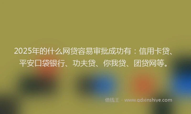 2025年的什么网贷容易审批成功有:信用卡贷、平安口袋银行、功夫贷、你我贷、团贷网等。