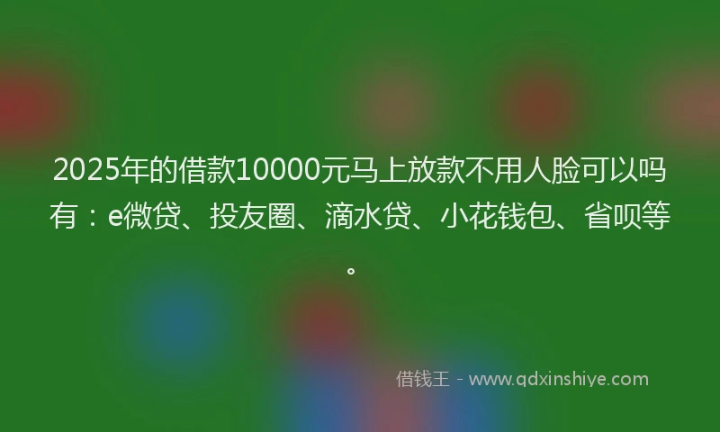 2025年的借款10000元马上放款不用人脸可以吗有：e微贷、投友圈、滴水贷、小花钱包、省呗等。