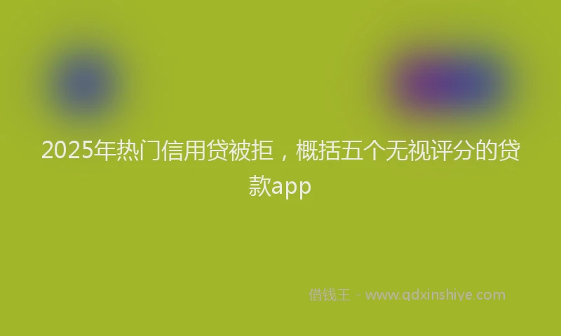 2025年热门信用贷被拒，概括五个无视评分的贷款app